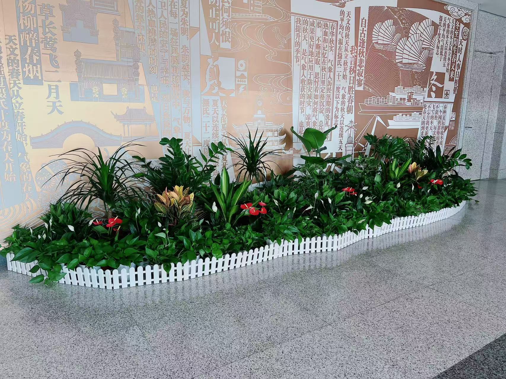 宁波江北花卉出租价格